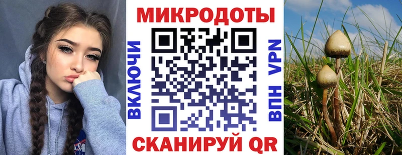 Псилоцибиновые грибы мухоморы  Мариинск 
