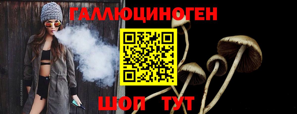 Галлюциногенные грибы Cubensis  Вход с VPN  Мариинск  Галлюциногенные грибы мицелий 